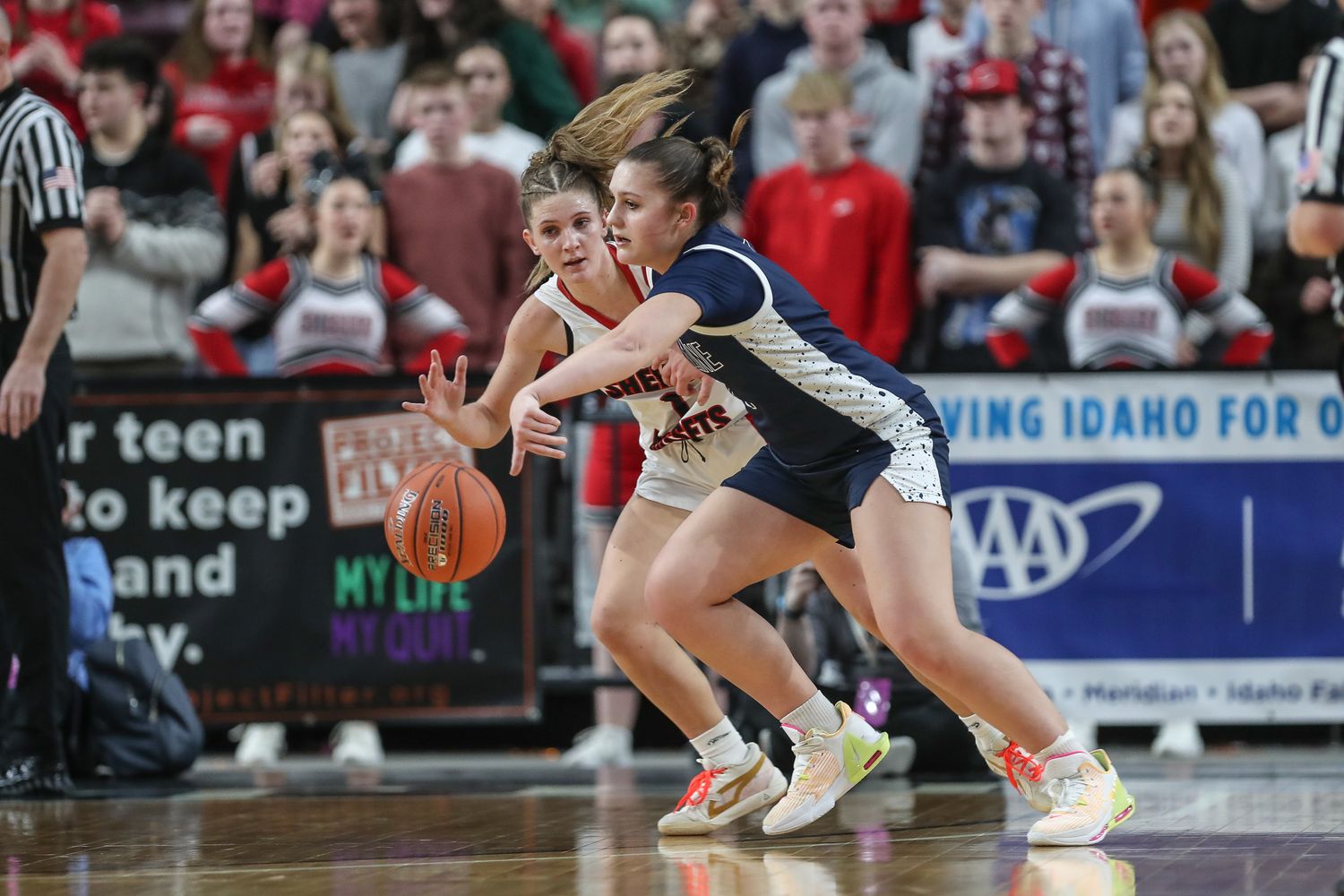 shelley skyline idaho girls basketball state championship 2024 Orr24